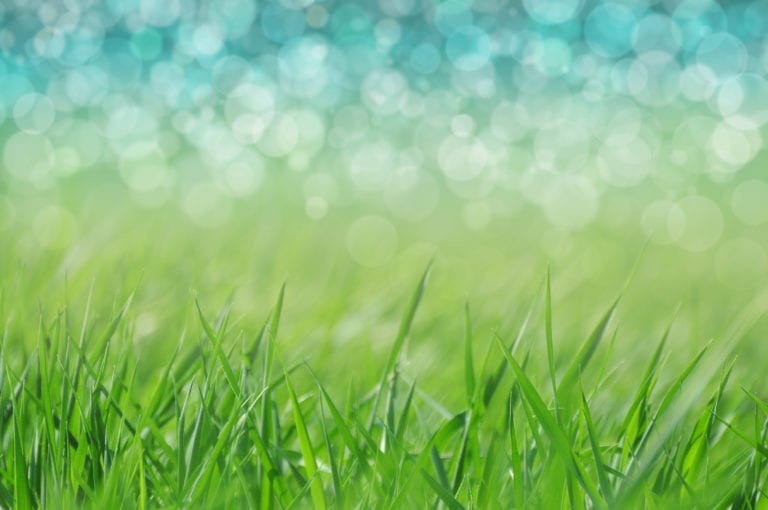 Natural defocused background - grass and water. Spring or holiday by a lake.