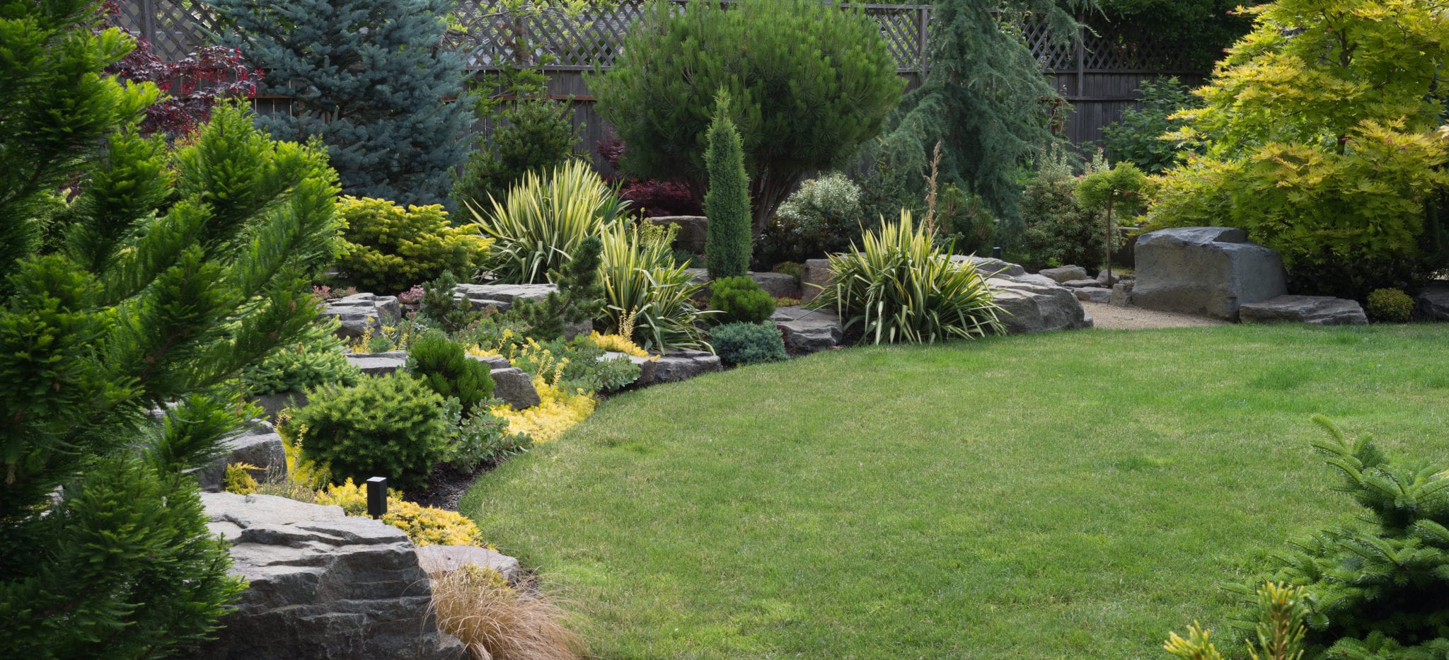 Lawn Care Services Colorado Springs, CO Grass & Lawn Fertilization